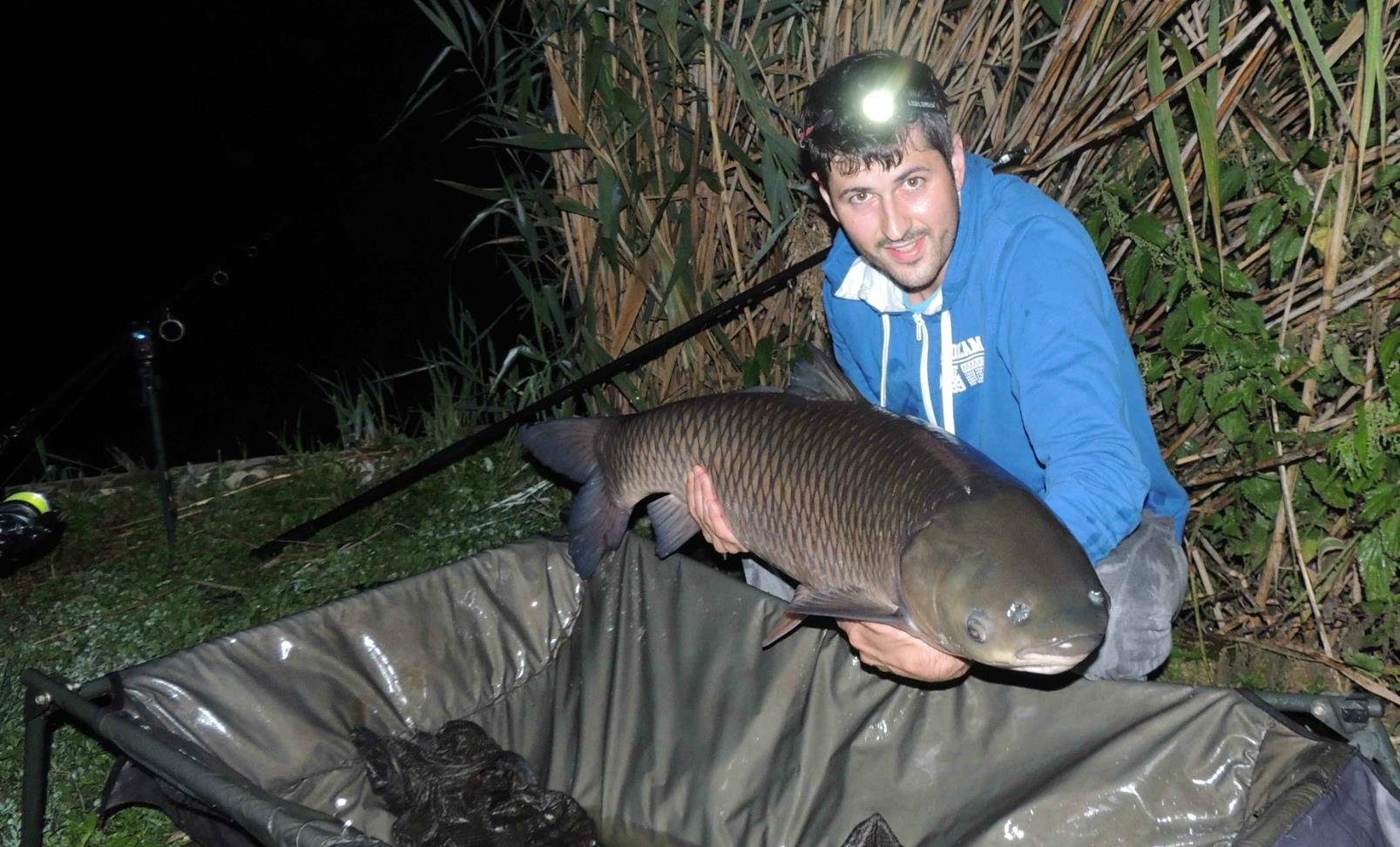 Tancabesti 12 - 14 sep. - cteno 17 kg